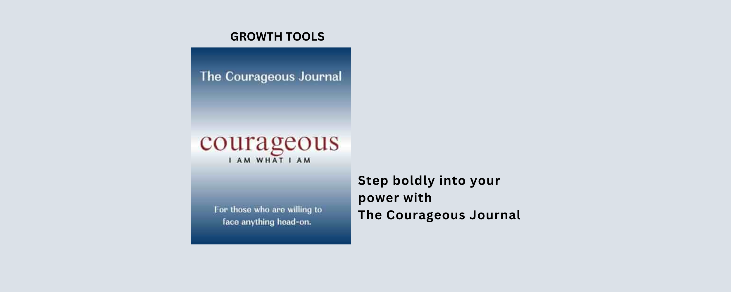 Courageous Journal book cover
