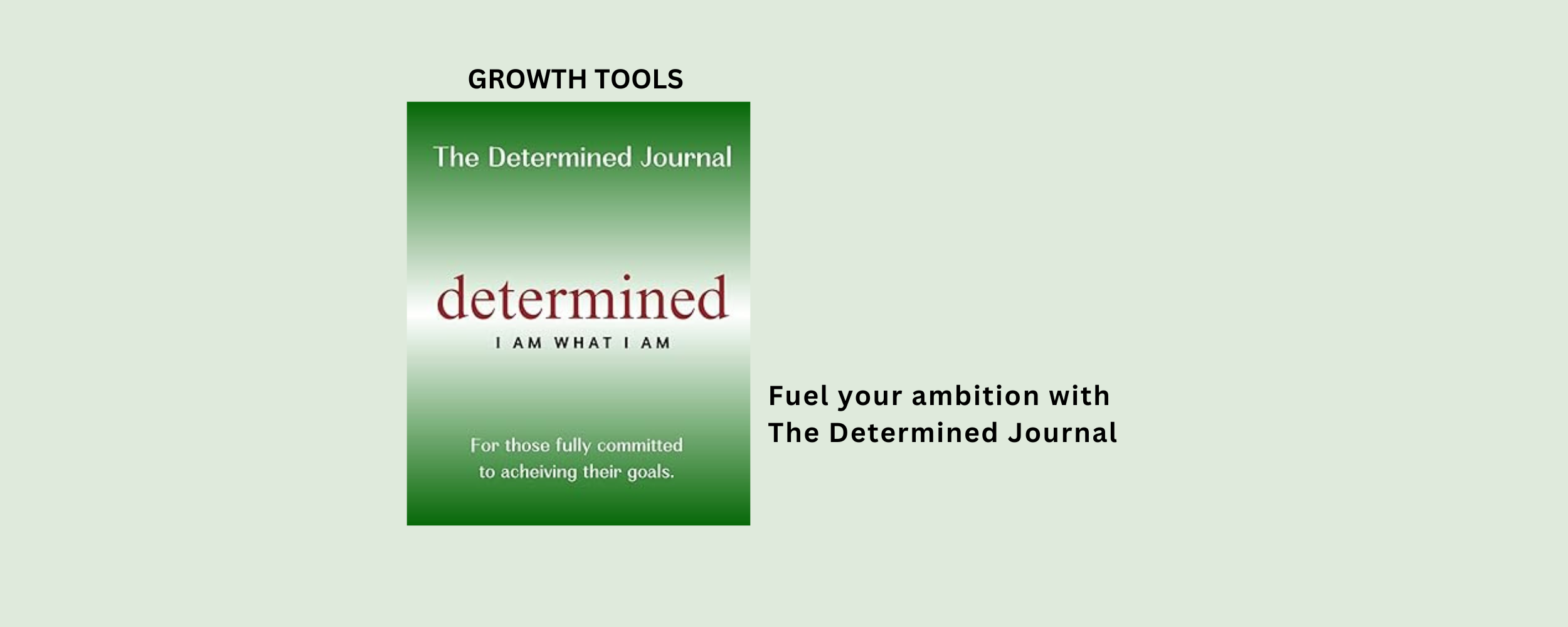 Determined Journal book cover